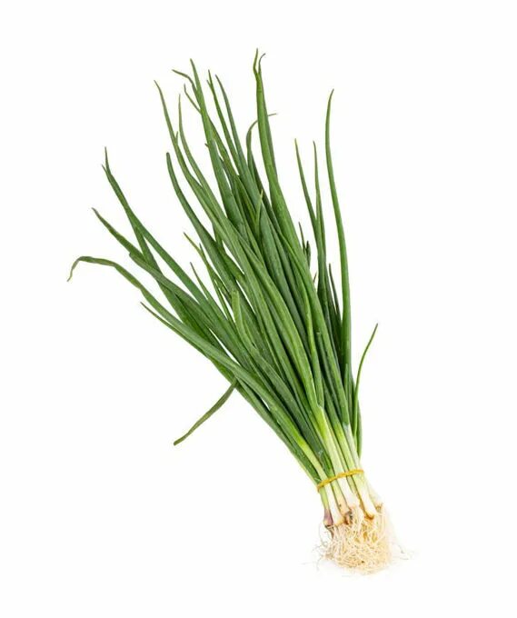 Пучок лука фото 4u.am. Green onion 1 bunch