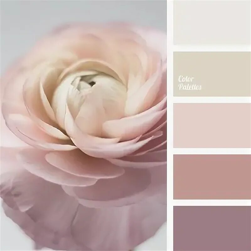 Пудрово розовый цвет фото Color Palette #4163 Color palette pink, Color palette design, Color palette