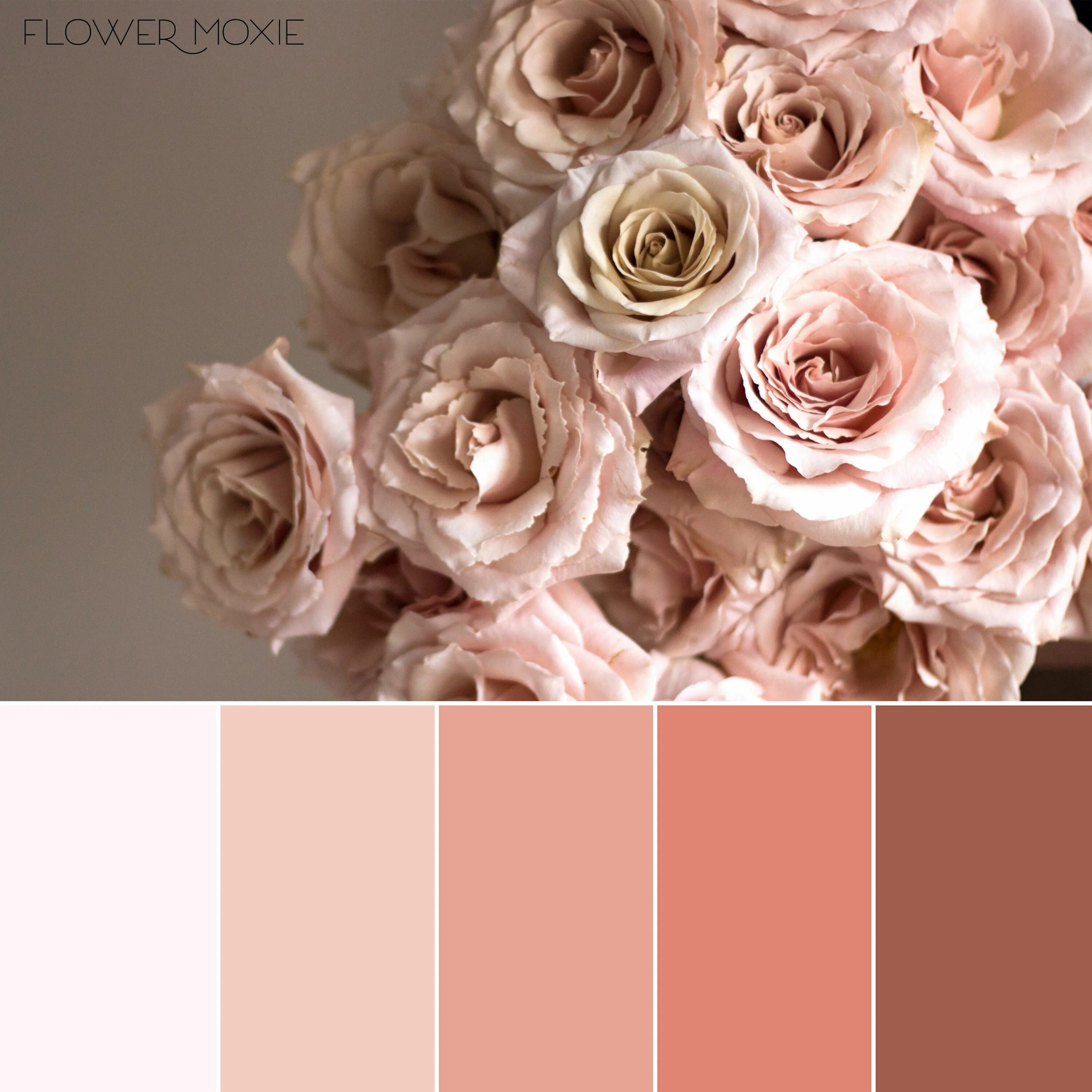 Пудрово розовый цвет фото Quicksand Roses, Dusty muted rose, Flower Moxie, DIY Wedding Flowers, Marsala an