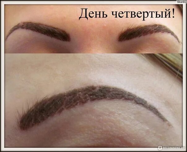 Пудровое напыление бровей после татуажа фото How to care for eyebrows after powder spraying: keep the color right ❗ With powd