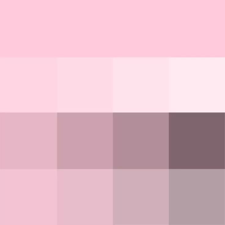 Пудровый розовый цвет фото #Pink (web) shades (Hue) ( pure color ) with Tints (hue + white), Shades (hue + 