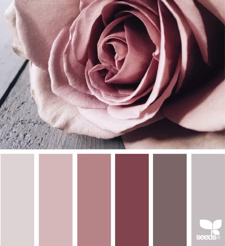 Пудровый розовый цвет фото petaled tones image via: @georgiestclair Bedroom colors, Colour schemes, Color p