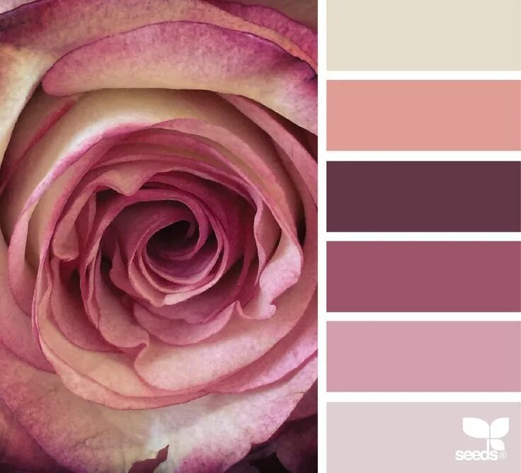 Пудровый розовый цвет фото rose hues image via: @gildedbloom Color balance, Design seeds, Colour