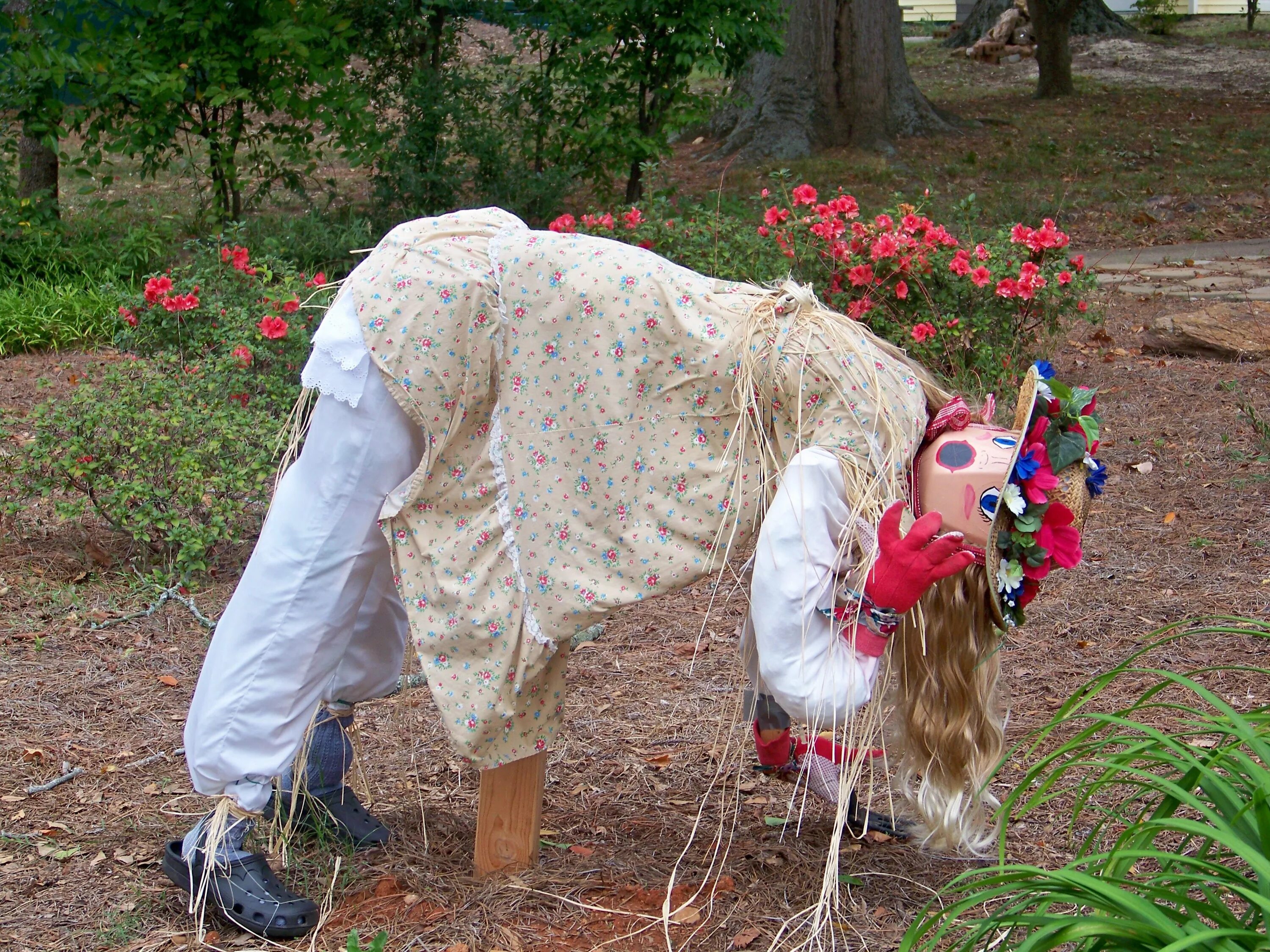 Пугало на даче своими руками SCARECROW LOOKING AFTER HER GARDEN...HARTWELL, GA 2011 Scarecrows for garden, Sc