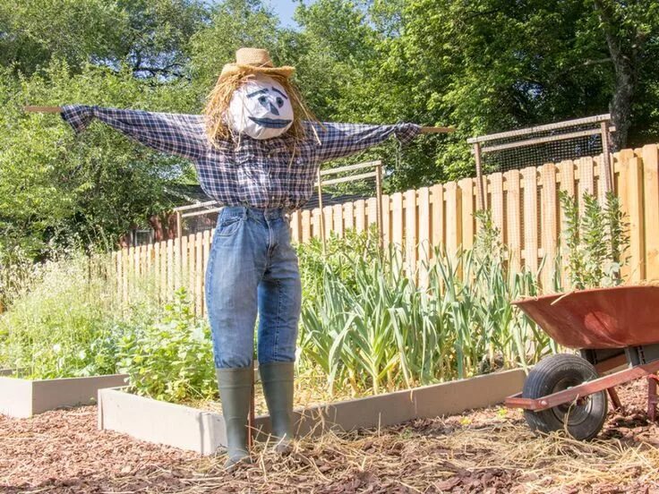 Пугало на даче своими руками How to Make a Scarecrow to Frighten Unwanted Critters From Your Garden Make a sc