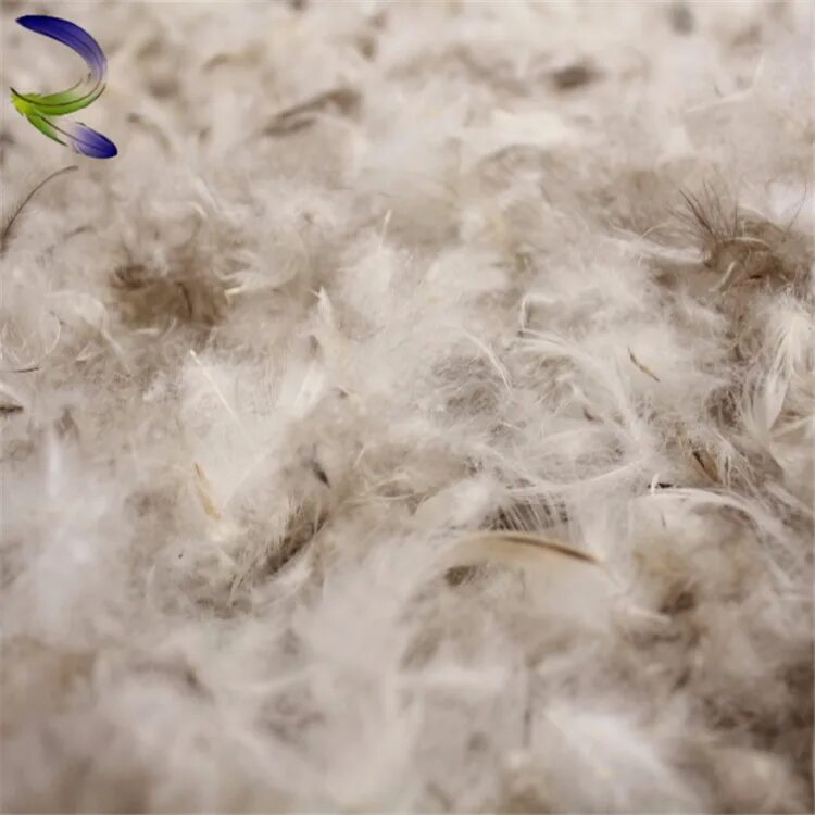 Пух перо фото Factory Price Washed White Grey Duck Down Feather Trade Buyer Duck Feather - Buy