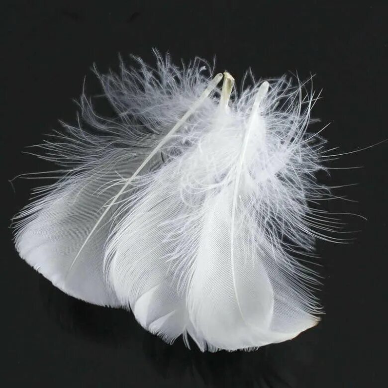 China RDS 2-4cm Washed White Goose Duck Feathers, wholesale Feather & Down on To