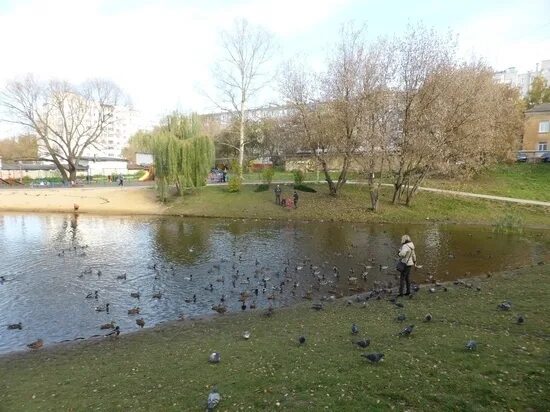 Пуховский пруд в калуге фото Калуга - главные новости и последние события - страница 707