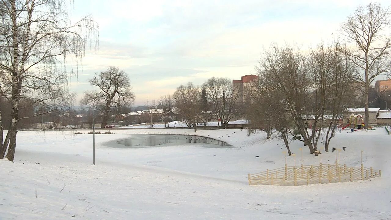 Пуховский пруд в калуге фото Утки улетели с замерзшего Пуховского пруда в Калуге