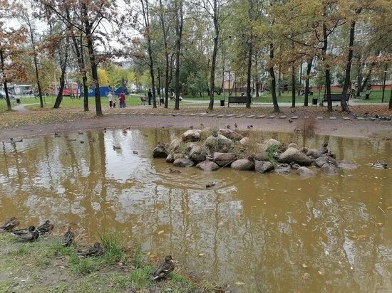 Пуховский пруд в калуге фото ВКонтакте - главные новости и последние события - страница 826