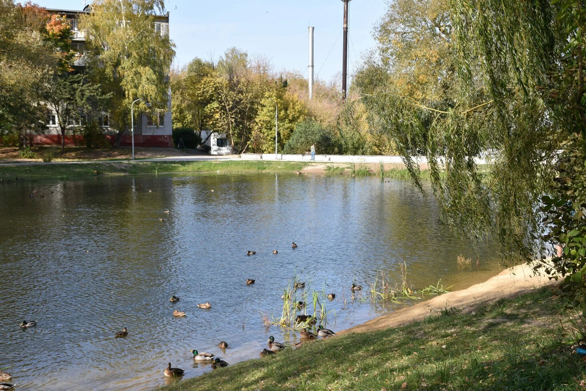 Пуховский пруд в калуге фото Памятники природы