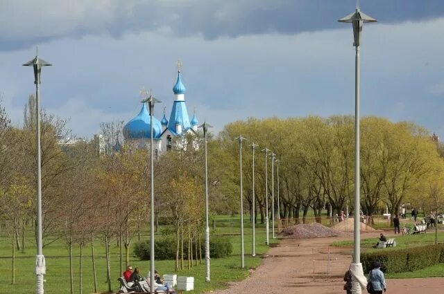 Пулковский парк санкт петербург фото На Аллее почетных граждан Петербурга высадили новые деревья АиФ Санкт-Петербург