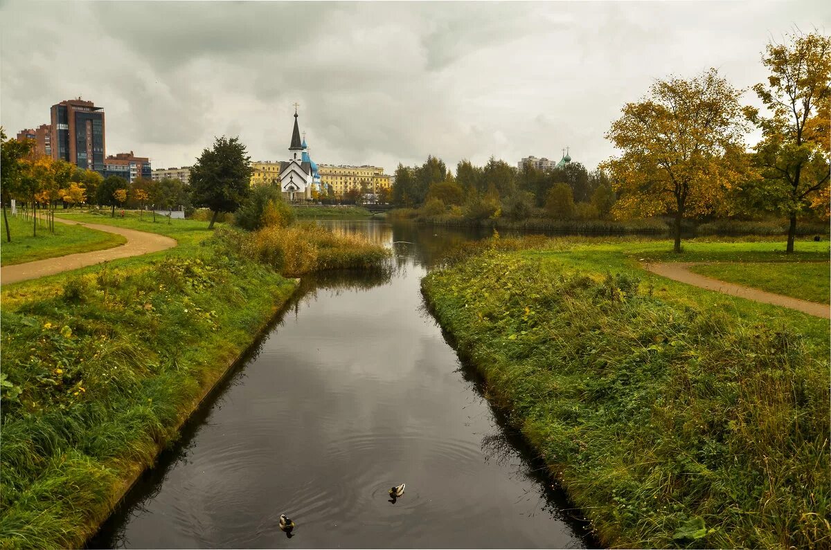 Пулковский парк санкт петербург фото Пулковский парк. :: Валентина Лазаренко - Социальная сеть ФотоКто