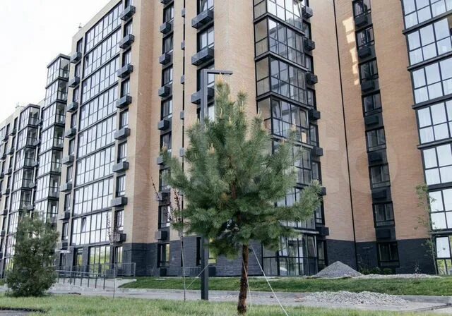 Пульс дружная ул 6 фото 1-к. квартира, 35 м², 3/8 эт. на продажу в Батайске Купить квартиру Авито