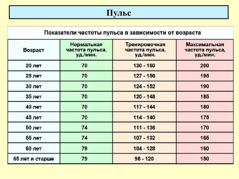 Пульс красная ул 103 фото Пульс взрослой женщины 40 лет