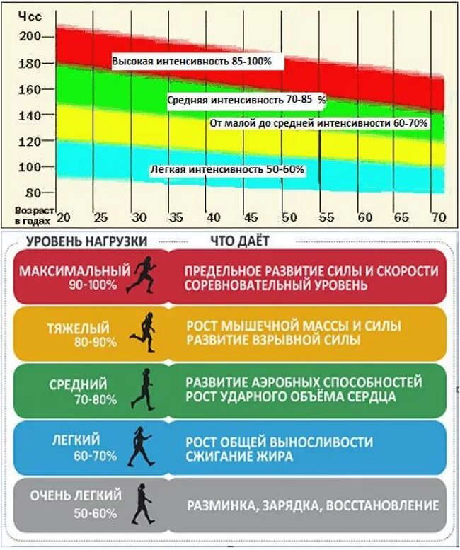 Пульс спортивная ул 93а фото Чсс аэробной нагрузки