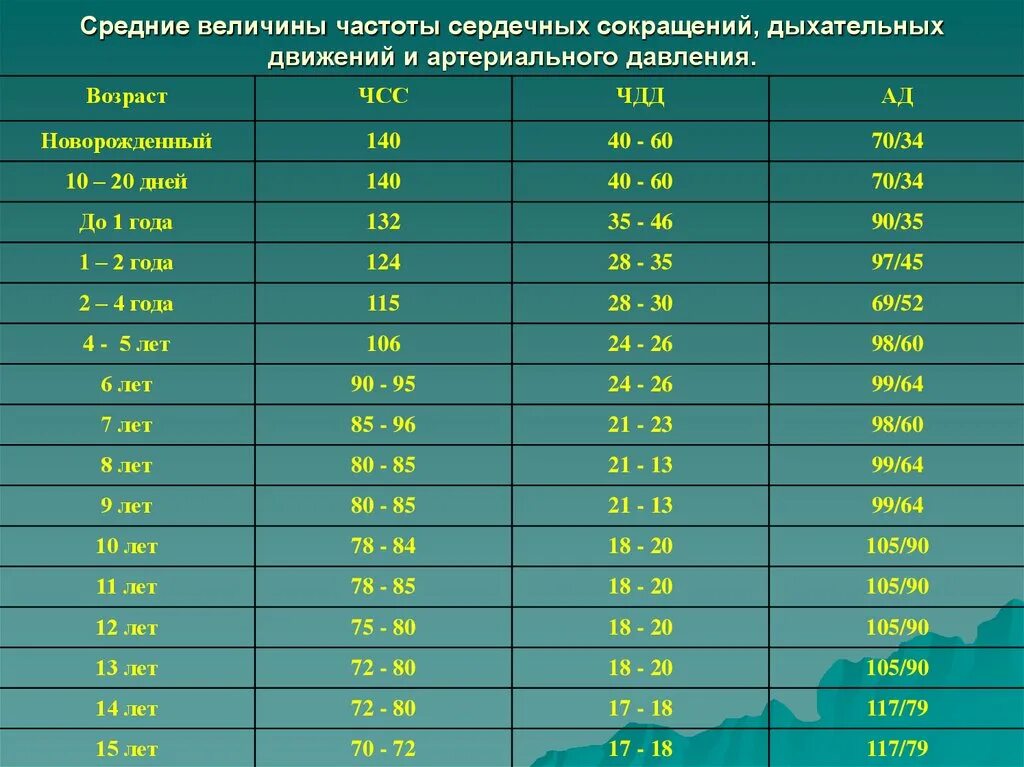 Пульс спортивная ул 93а фото Чсс по возрастам