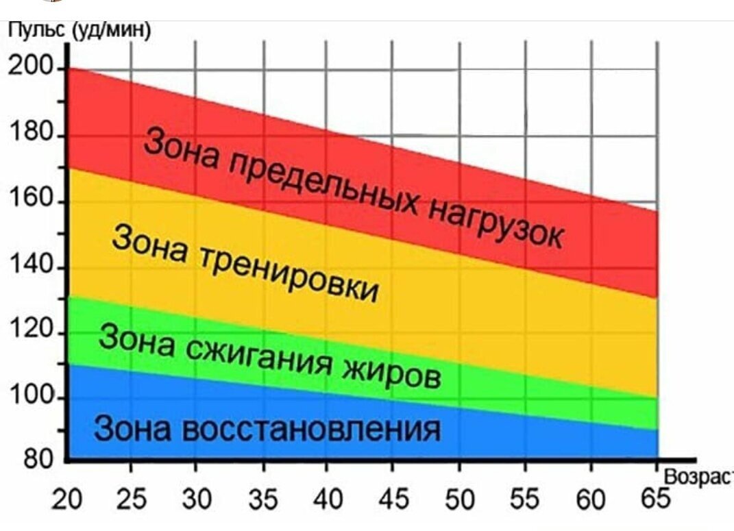 Пульс спортивная ул 93а фото Встали, колени слегка согнули и начали ходить на месте: от висцерального жира в 