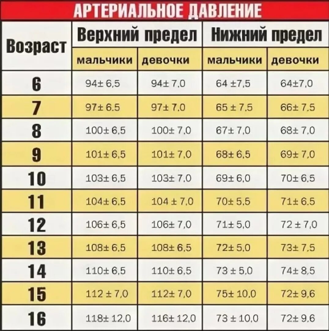 Пульс ул 1 мая 104 фото Давление 12 м