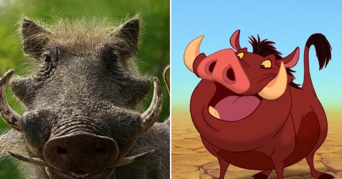 Пумба король лев фото Lion King Fans Defend Pumbaa's Live-Action Looks: 'Y'All Haven’t Seen a Real-Lif