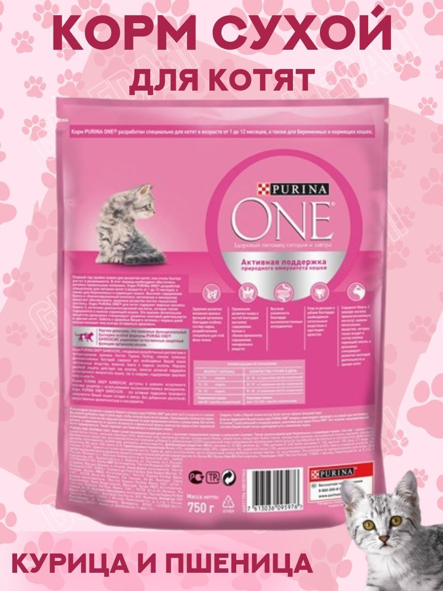 Пурина для котят фото Сухой корм Purina ONE для котят с курицей и цельными злаками, 750 г - купить в и