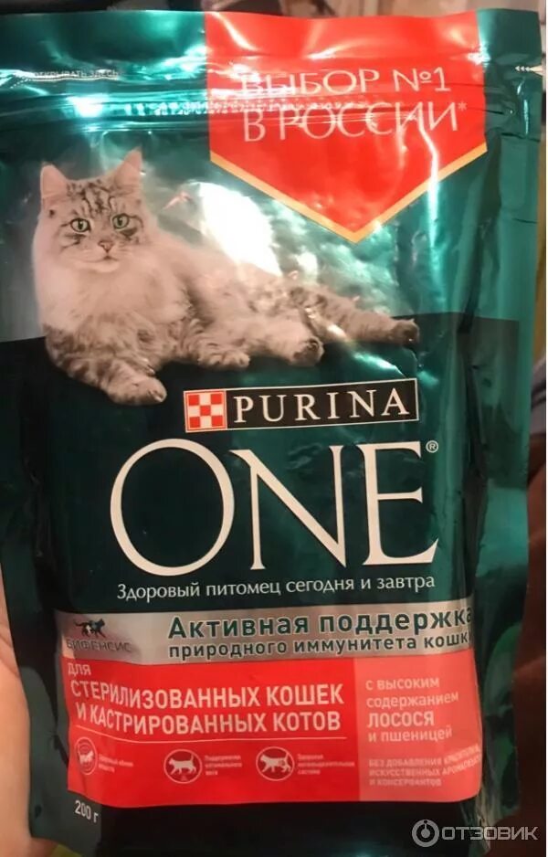 Корм для кошек Purina One для котят с курицей и цельными злаками - "Любимый корм