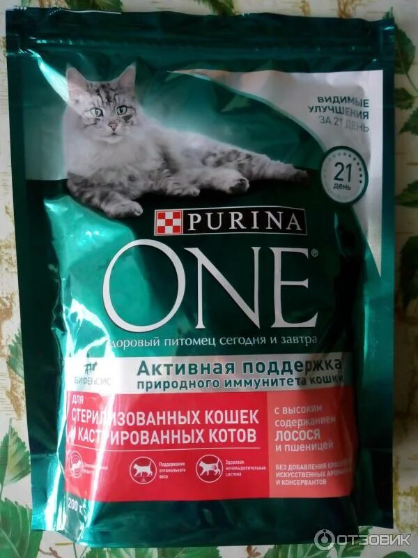 Пурина ван фото для кошек Отзыв о Сухой корм Purina One для стерилизованных кошек и котов с лососем и пшен