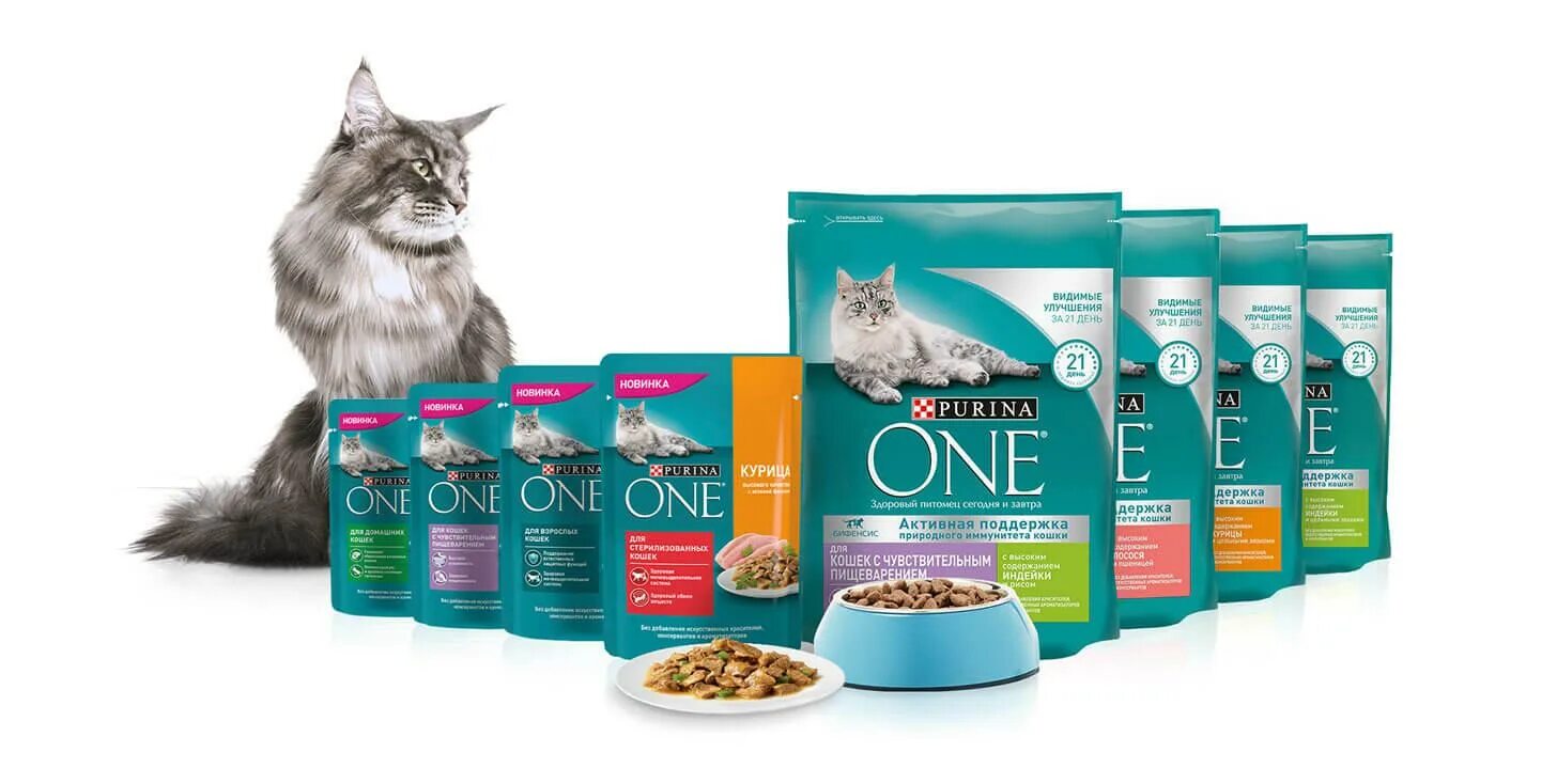 Пурина ван фото для кошек Purina One корм для кошек (Пурина Ван): отзывы ветеринаров, сухой и влажный, для