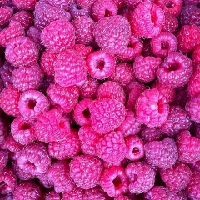 Пурпурная малина фото Raspberries Raspberry, Everything pink, Pink color