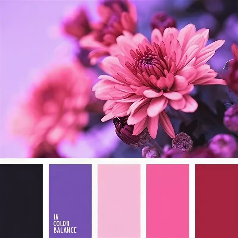 Пурпурно розовый цвет фото Pin by Bobbie B. on color palettes Color palette, Colors that compliment purple,