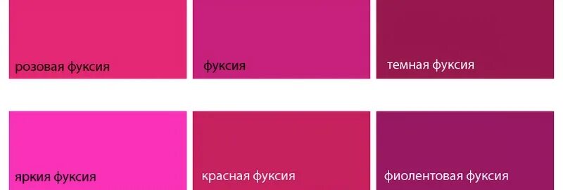 Пурпурный цвет это какой показать фото одежда Цвет Фуксия (54 фото): что это, с чем сочетается одежда, как выглядит сочетание 