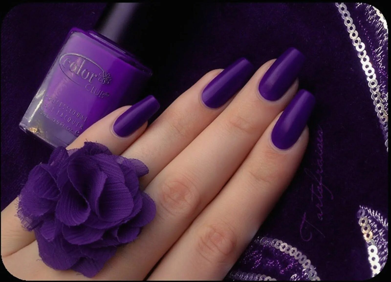 Пурпурный цвет маникюра 16 Purple Nail Art Ideas That Are Just SO Elegant! Purple acrylic nails, Matte p