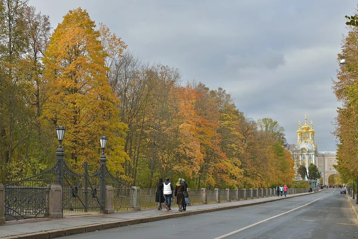 Пушкин санкт петербург фото улиц Файл:Catherine Palace near Saint Petersburg way to.jpg - Википедия