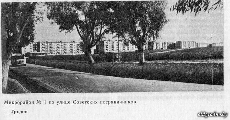 Пушкин ул советских пограничников 53 фото Ул. Советских пограничников. 1965 год