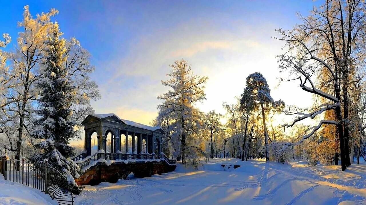 Пушкин зимой фото Картина на холсте 60x110 Альянс Лес "Природа зима парк деревья" на подрамнике / 