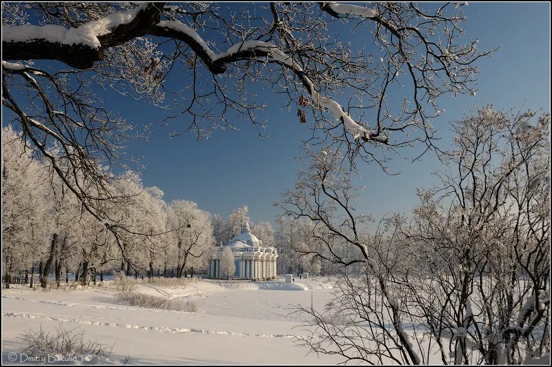 Пушкин зимой фото Екатерининский парк москва зимой - Фото