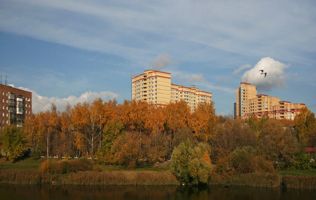 Пушкино подмосковье фото Осенний город. :: lady-viola2014 - - Социальная сеть ФотоКто