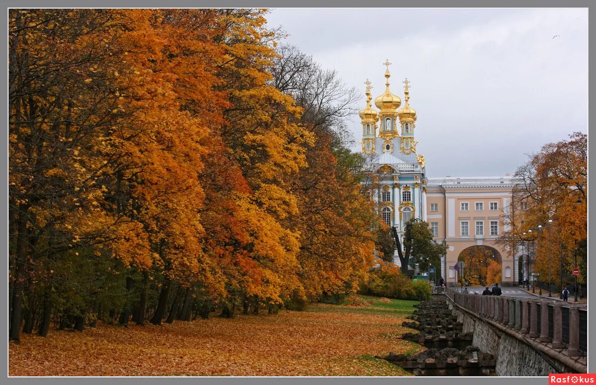 Пушкинская осень фото Фото: Царскосельская осень. Фотограф Сергей Калабин. Пейзаж. Фотосайт Расфокус.р