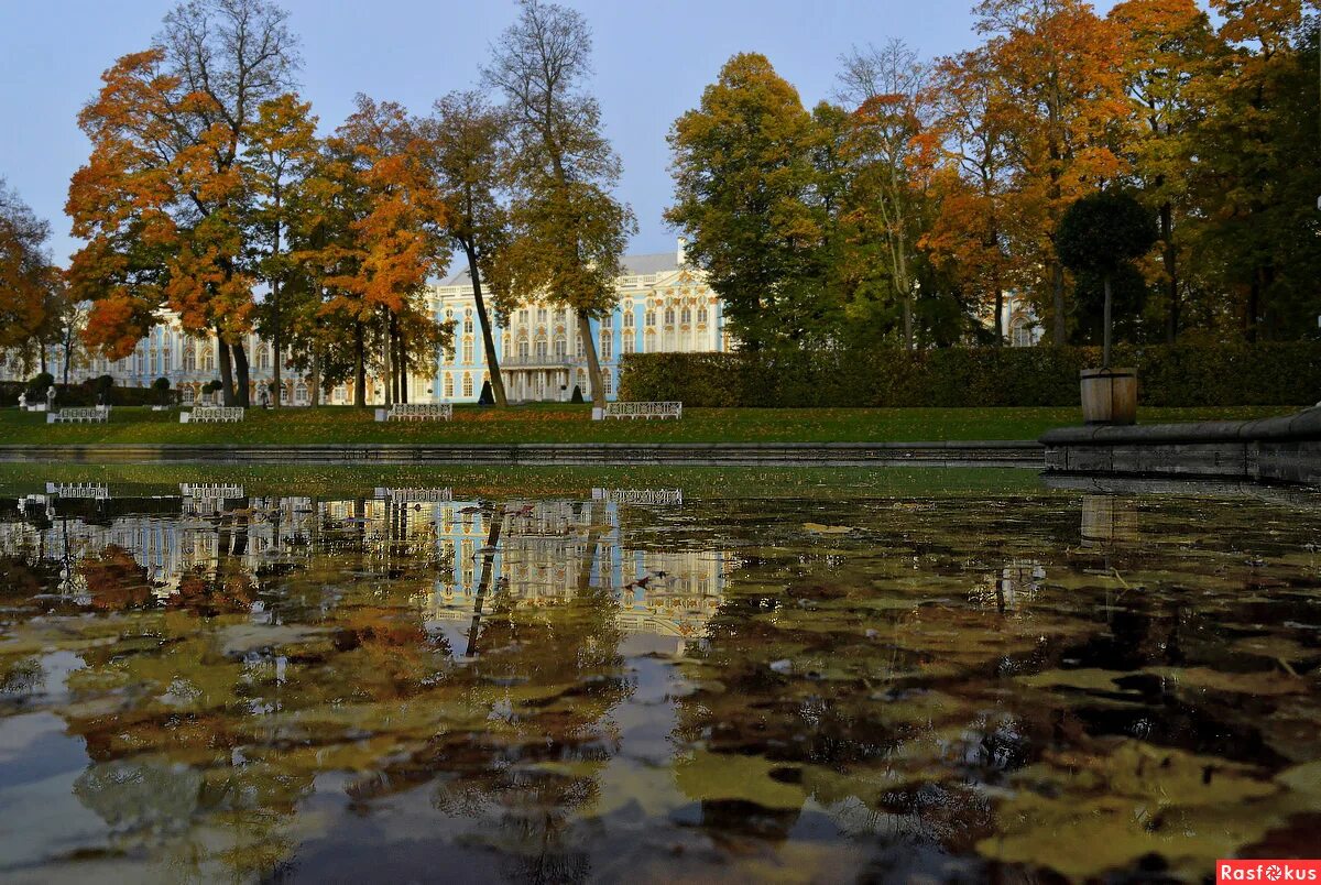 Пушкинская осень фото Фото: Пушкинская осень. На восходе..... Пейзажный фотограф Юрий Ц.. Пейзаж. Фото