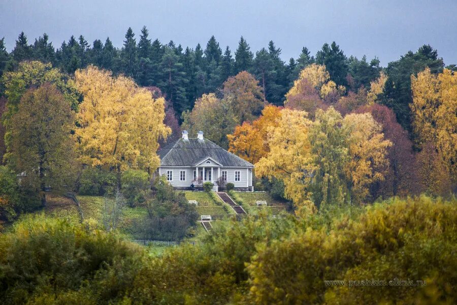 Пушкинские горы село михайловское фото Моей души предел желанный!". Фотовыставка Николая Алексеева