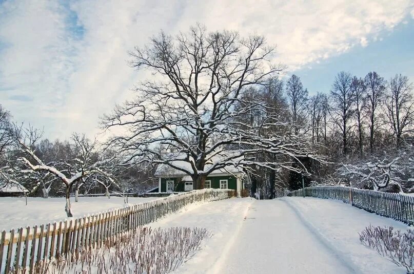 Пушкинские горы зимой фото #КрасотыЗемлиРусской The Pushkin Mountains. Mikhailovsky. Pskov area. North-West