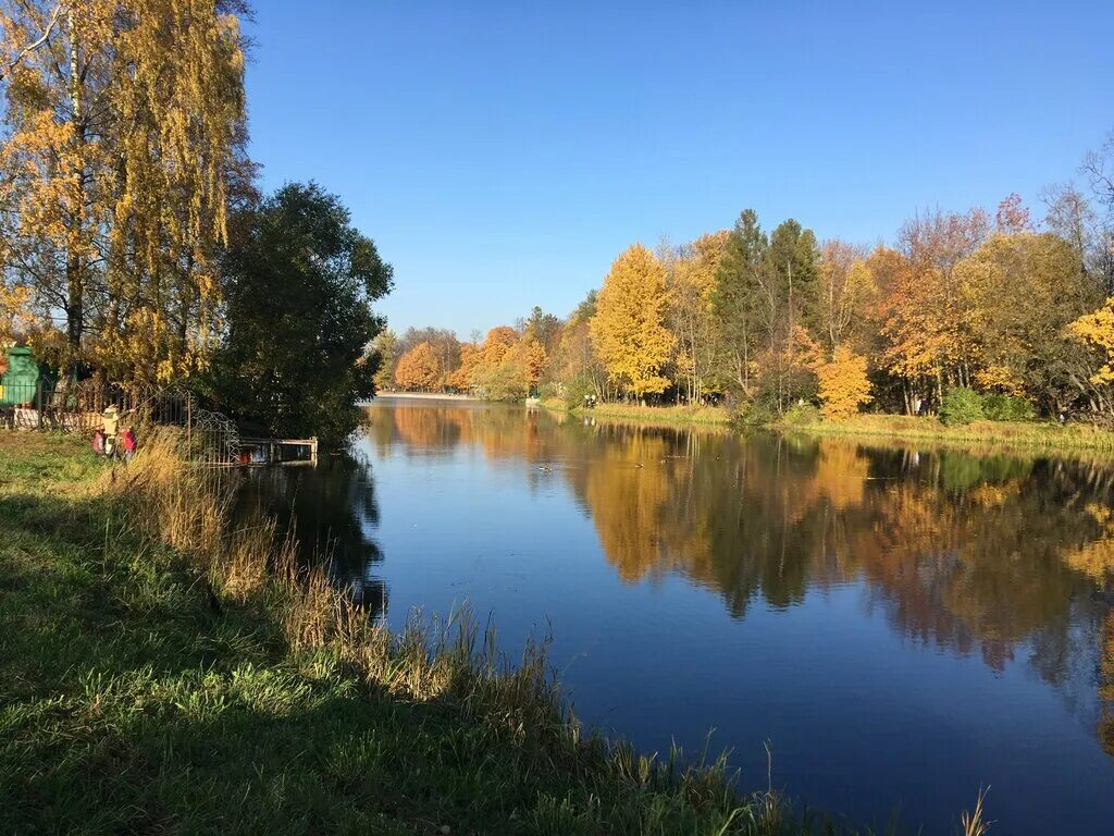 Пушкинский район фото Permanently closed: Отдельный Парк, park, St. Petersburg, Pushkin, Otdelny park 