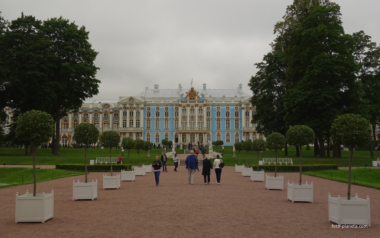 Пушкинский район спб фото Пушкинский район санкт петербурга - блог Санатории Кавказа