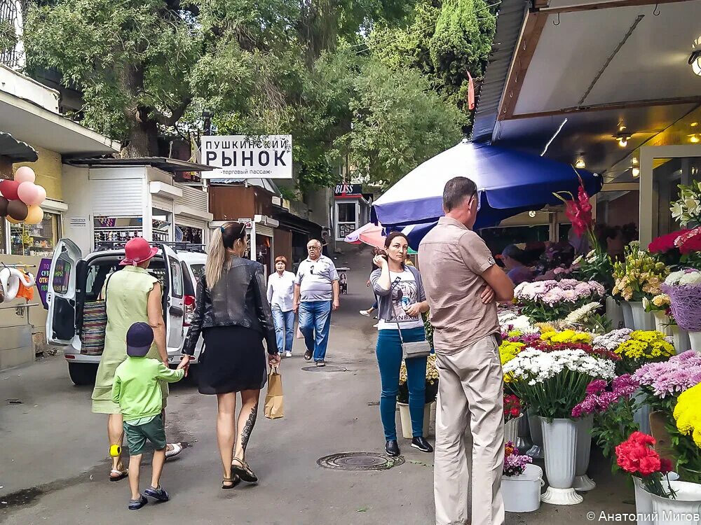 Пушкинский рынок новый пер 2д ялта фото Насколько дороже фрукты и овощи в курортной Ялте, чем в рядовой крымской глубинк