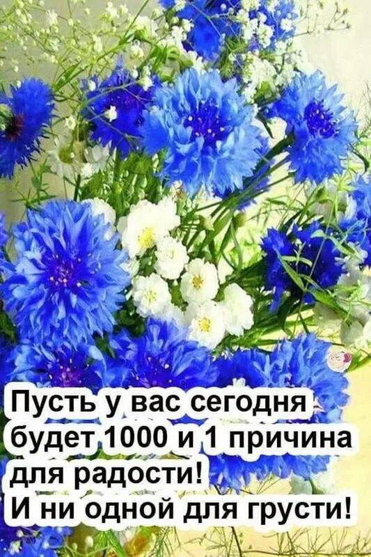 Пусть день будет добрым фото С добрым осенним утром картинки - Стихи и красивые картинки с добрым утром с над