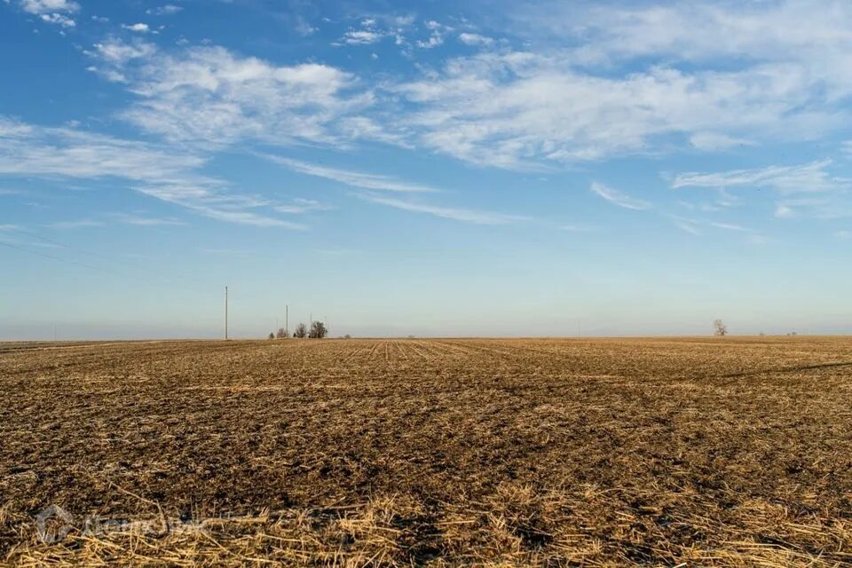 Пустое поле фото Купить Большой Участок на улице имени Доватора (Краснодар) - предложения о прода