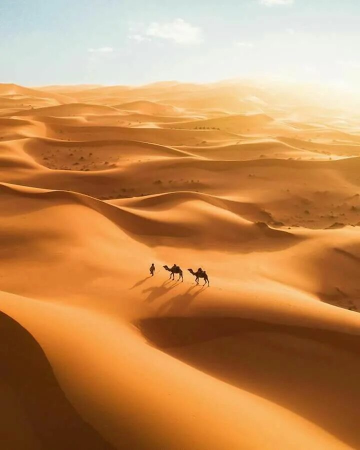 Пустыни мира фото Sahara desert, Morocco by Michael Gray Deserts of the world, Desert travel, Beau