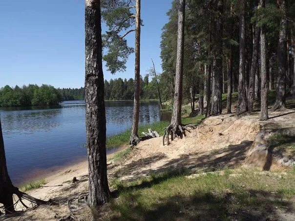 Пустынские озера нижегородская область фото Основной альбом - Фотография 48 из 54 ВКонтакте