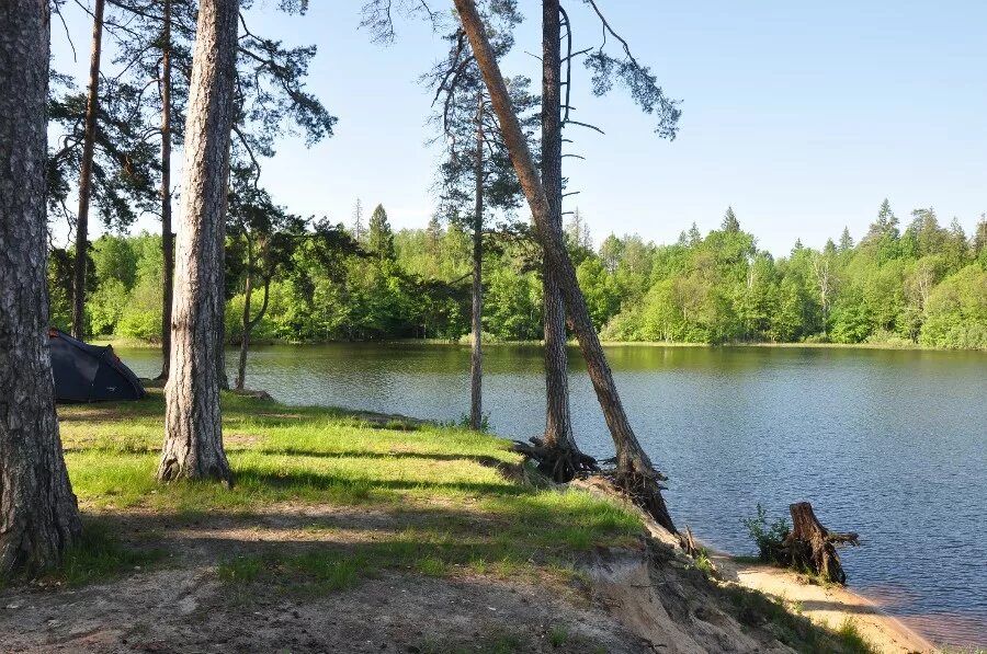 Пустынские озера нижегородская область фото Управление культуры, спорта и туризма - "Тропы Березополья"