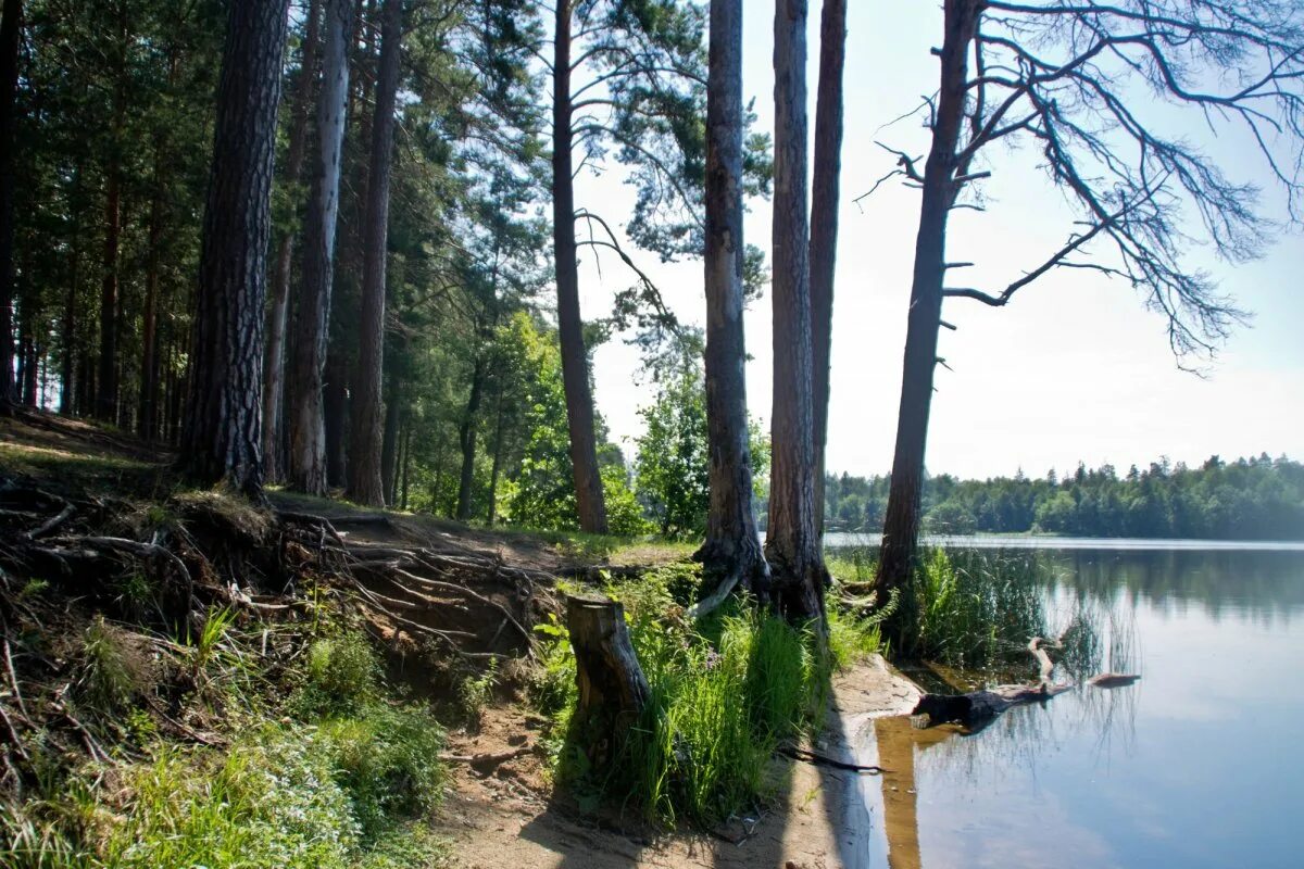 Пустынский заказник озеро долгое фото Пустынские озера нижегородская область 58 фото Ast-Ohota.ru